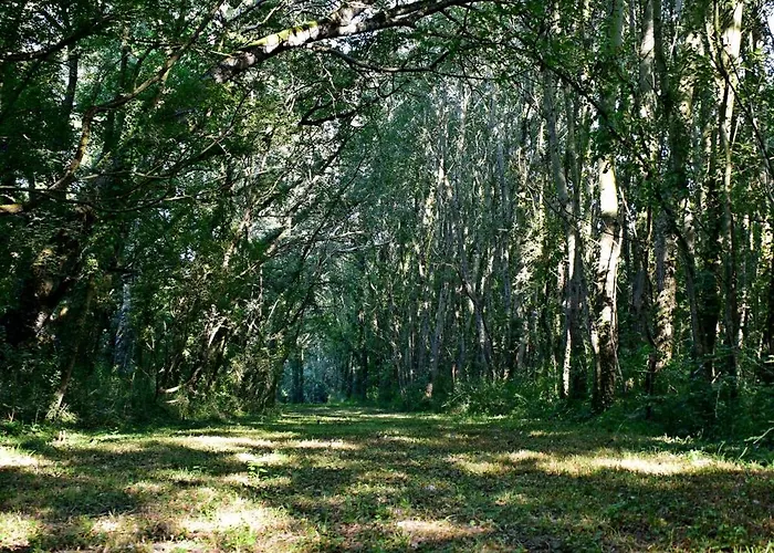 L'oree Du Bois Gaubau فندق مبيت وإفطار Saint-Georges-sur-Layon